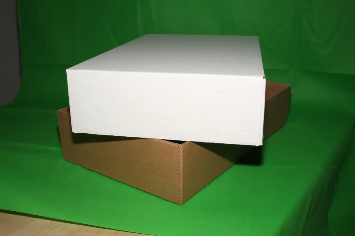 Fondo Armado en Máquina 10 KG — imagen 2