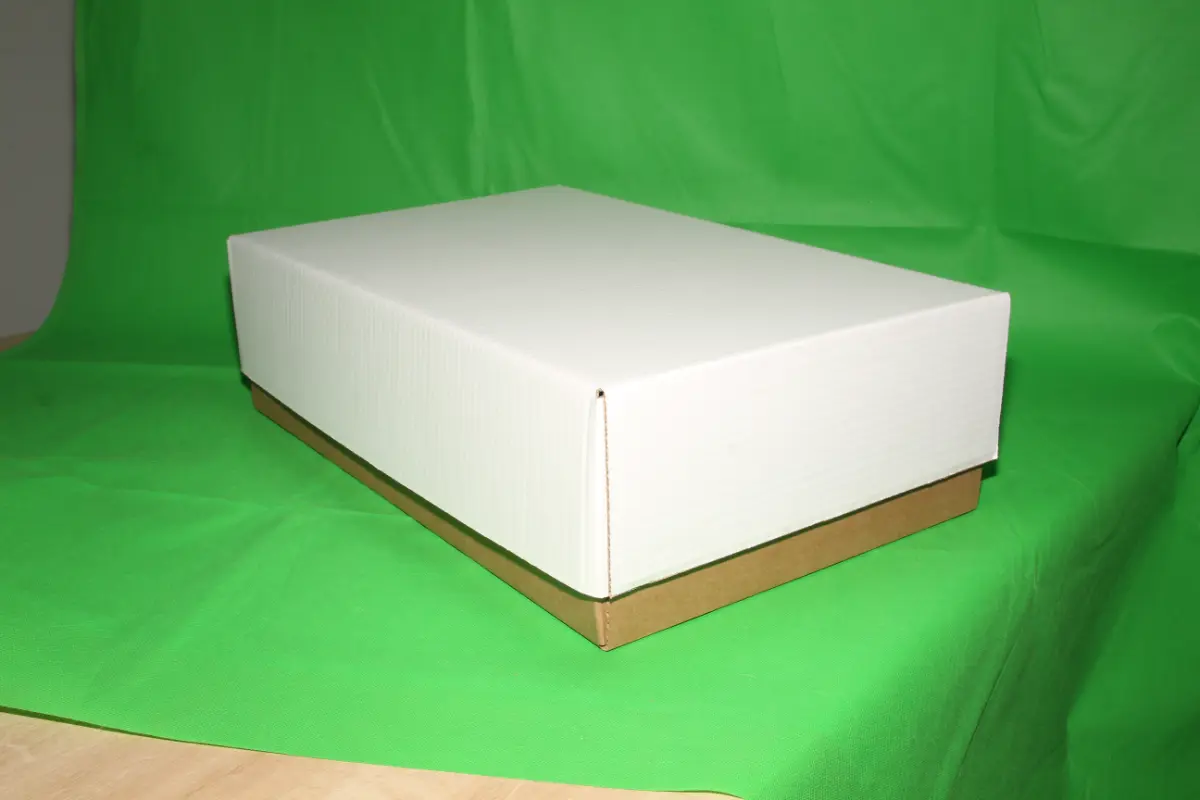 Fondo Armado en Máquina 10 KG — imagen 4